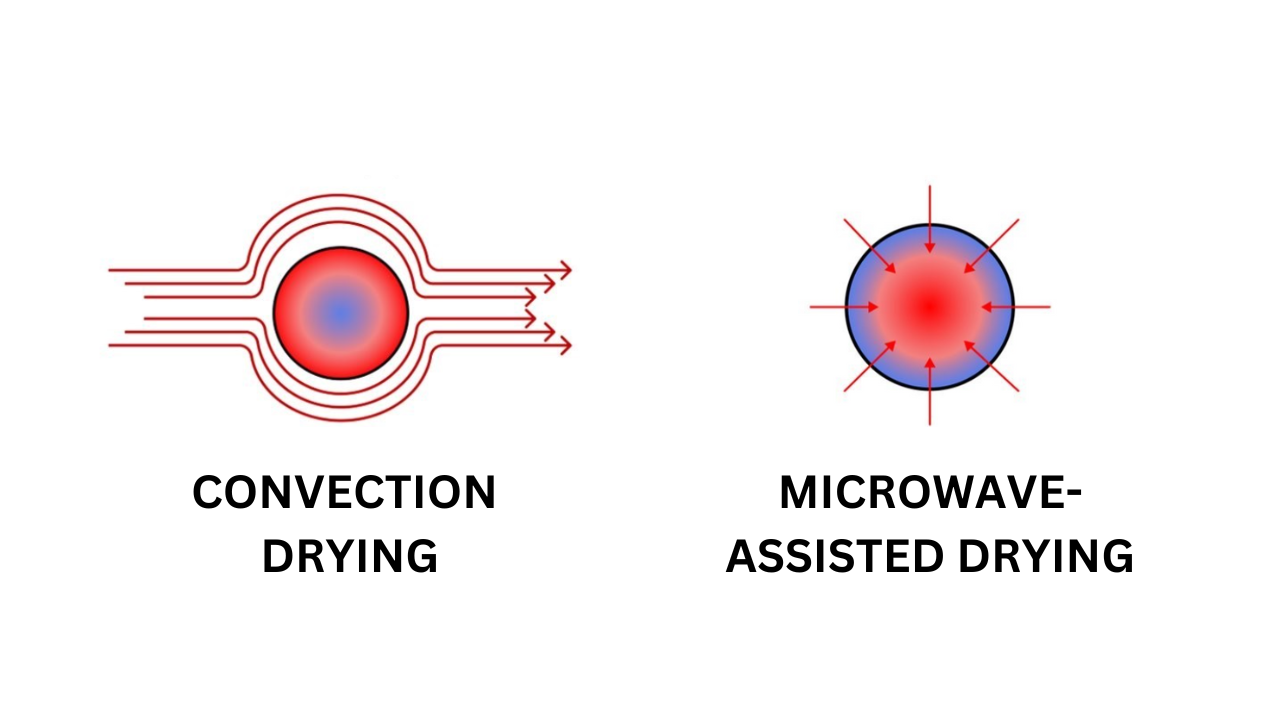 Convection and microwave drying moisture removal techniques.